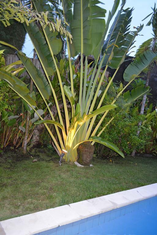 Villa Raquel Seminyak Rum bild
